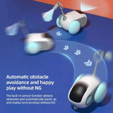 Smart Chase Cat Toy Car with Remote