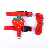 Small Pet Harness & Leash Set