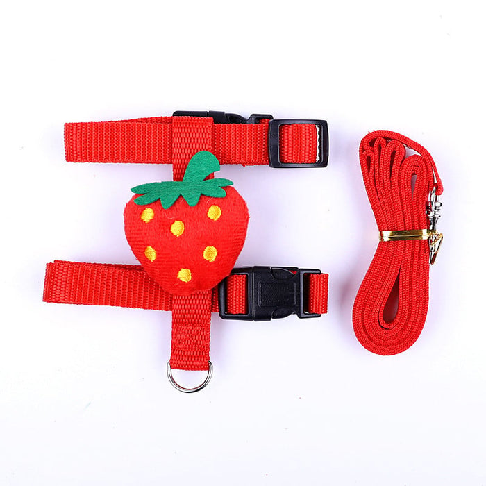 Small Pet Harness & Leash Set