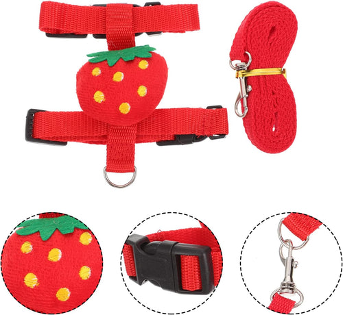 Small Pet Harness & Leash Set