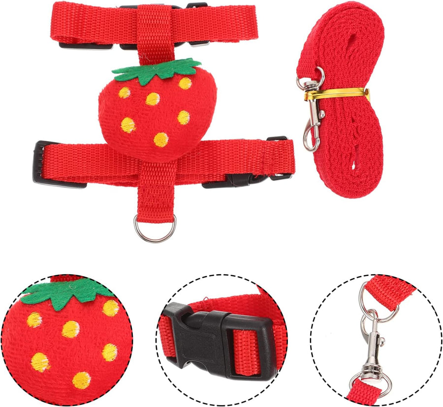 Small Pet Harness & Leash Set