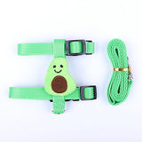 Small Pet Harness & Leash Set