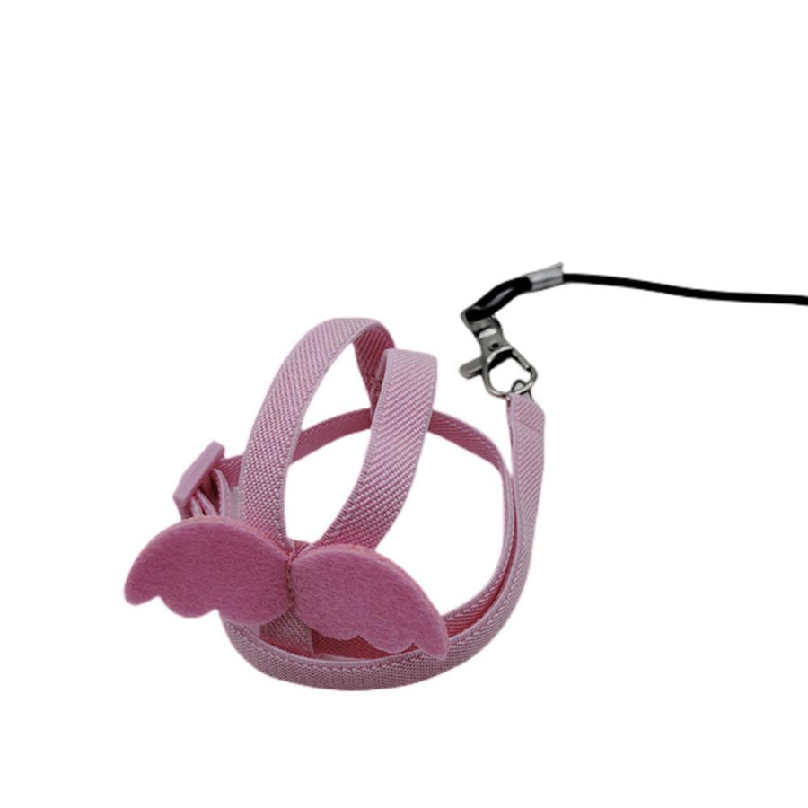 Bird Harness & Flying Leash