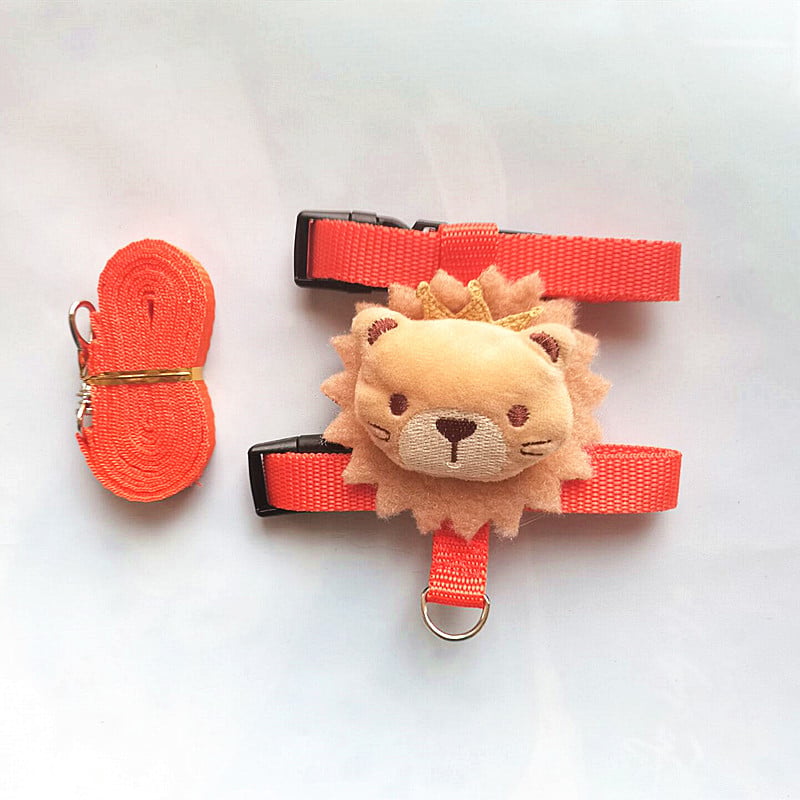 Small Pet Harness & Leash Set