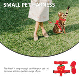 Small Pet Harness & Leash Set