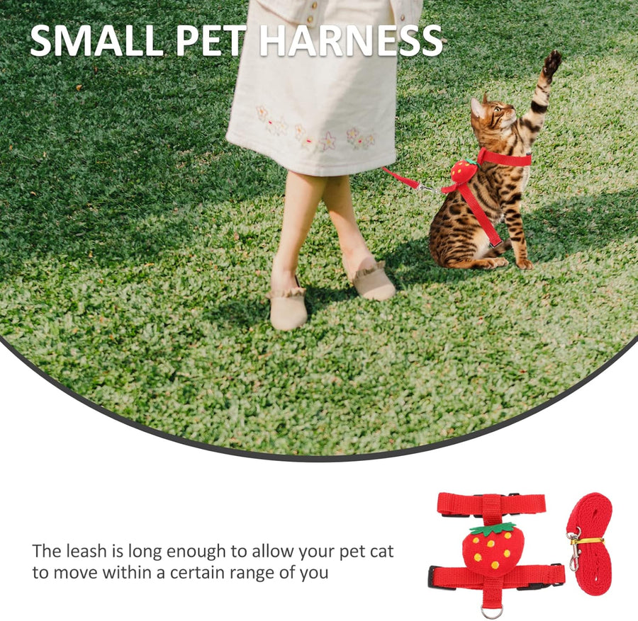 Small Pet Harness & Leash Set