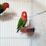 Natural Apple Wood Bird Perch