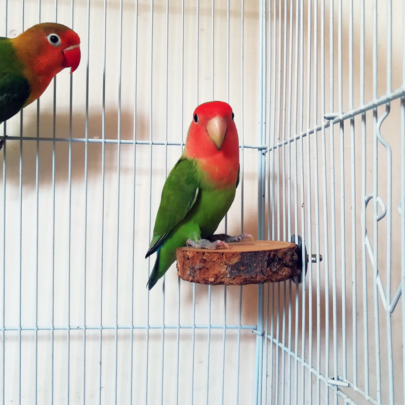 Natural Apple Wood Bird Perch