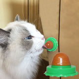 Cat Treats and Lickable Snacks for Pet Cats