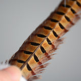 Feather Teaser Wand for Cats