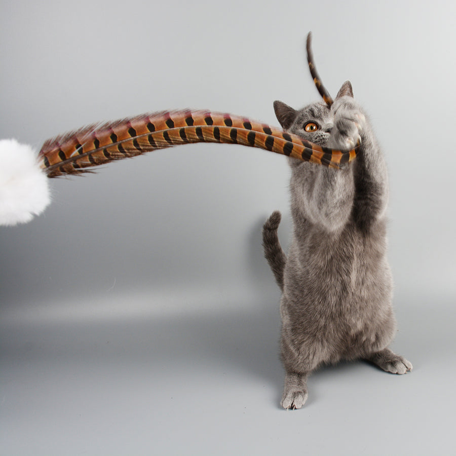 Feather Teaser Wand for Cats