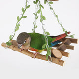 Coconut Bird Nest Swing Hammock
