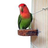 Natural Apple Wood Bird Perch
