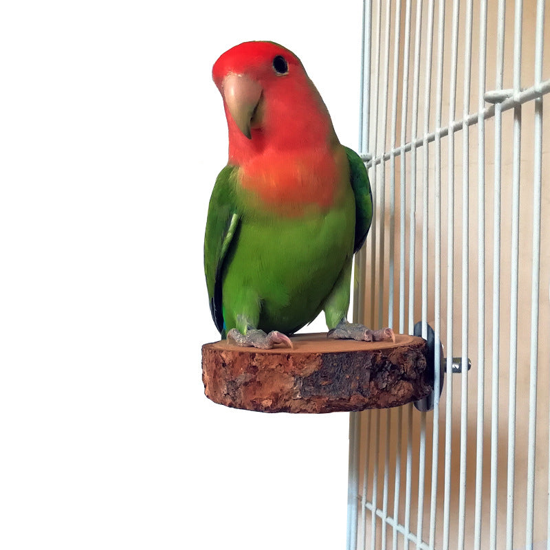 Natural Apple Wood Bird Perch