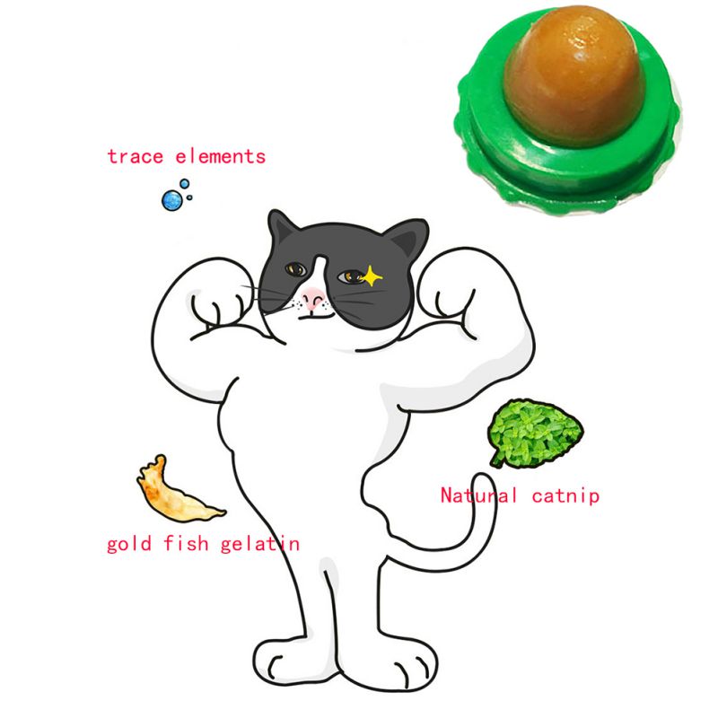 Cat Treats and Lickable Snacks for Pet Cats
