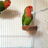 Natural Apple Wood Bird Perch