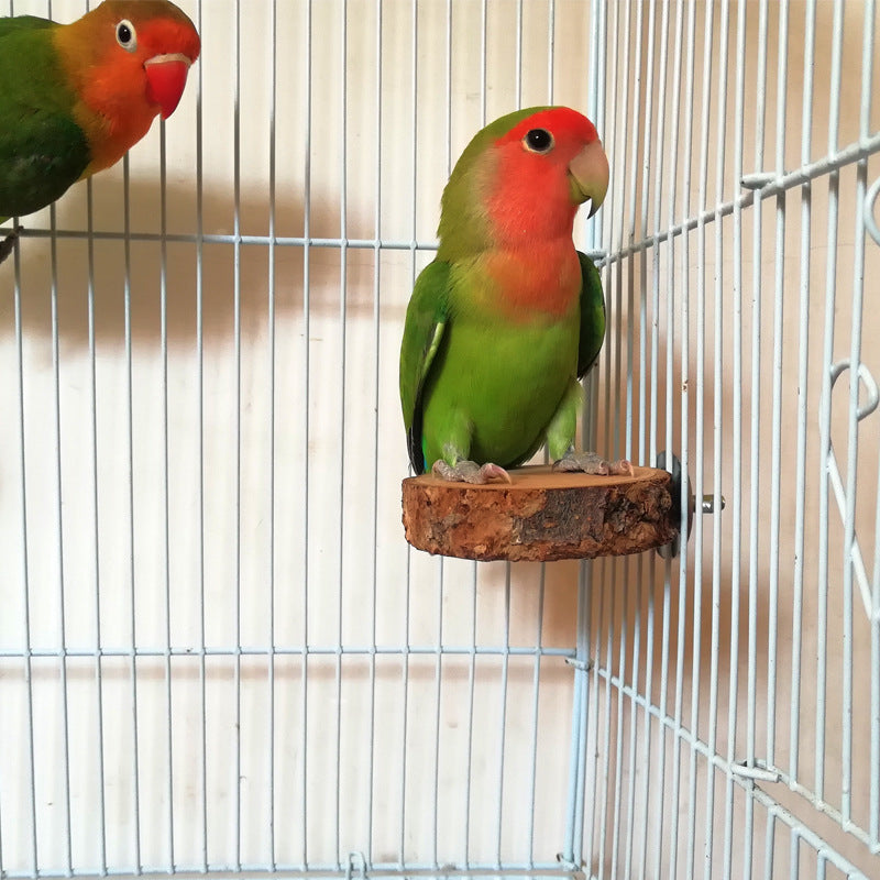 Natural Apple Wood Bird Perch