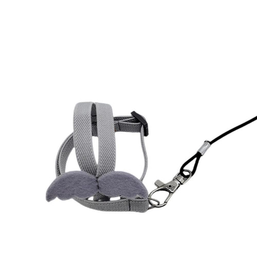 Bird Harness & Flying Leash