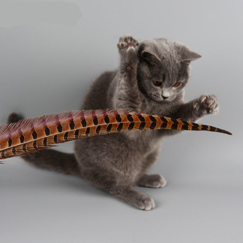 Feather Teaser Wand for Cats