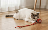 Smart Rolling Cat Toy Ball