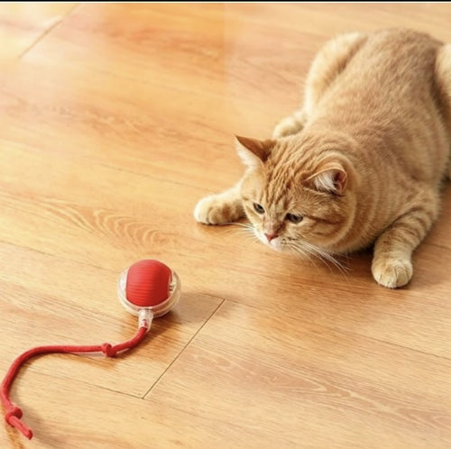 Smart Rolling Cat Toy Ball