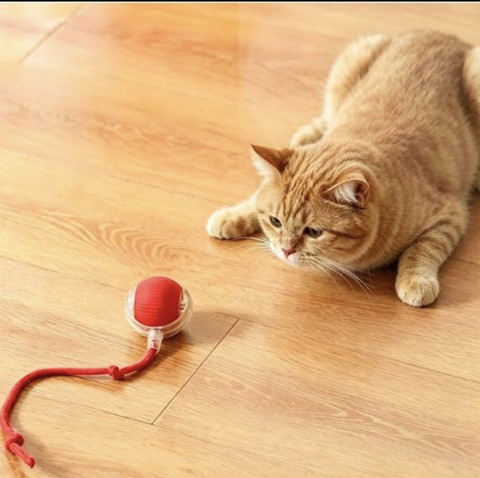 Smart Rolling Cat Toy Ball