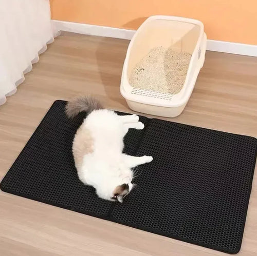 Litter-Trapping Mat