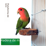 Natural Apple Wood Bird Perch
