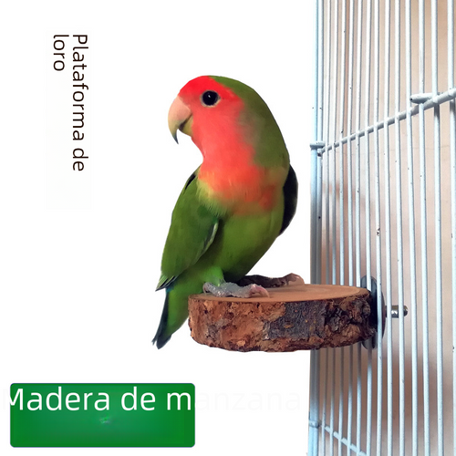 Natural Apple Wood Bird Perch