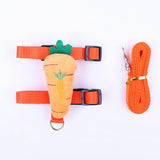 Small Pet Harness & Leash Set