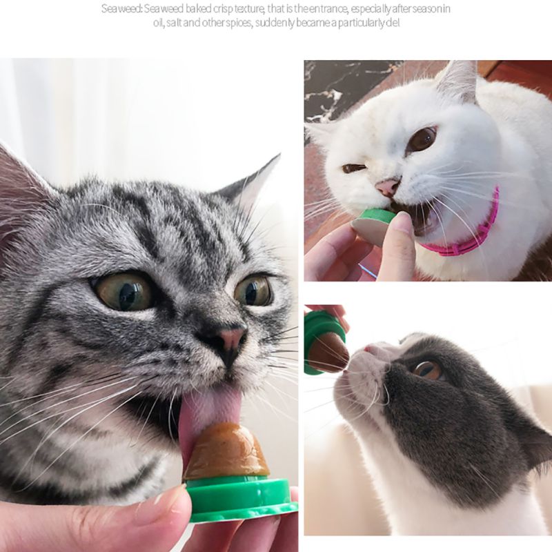 Cat Treats and Lickable Snacks for Pet Cats