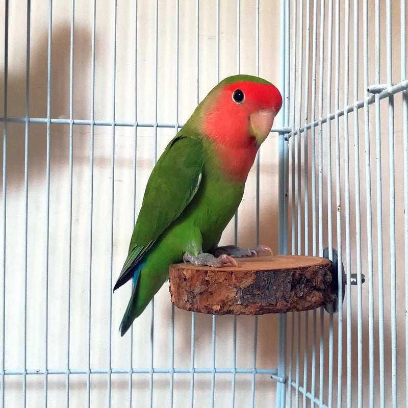 Natural Apple Wood Bird Perch
