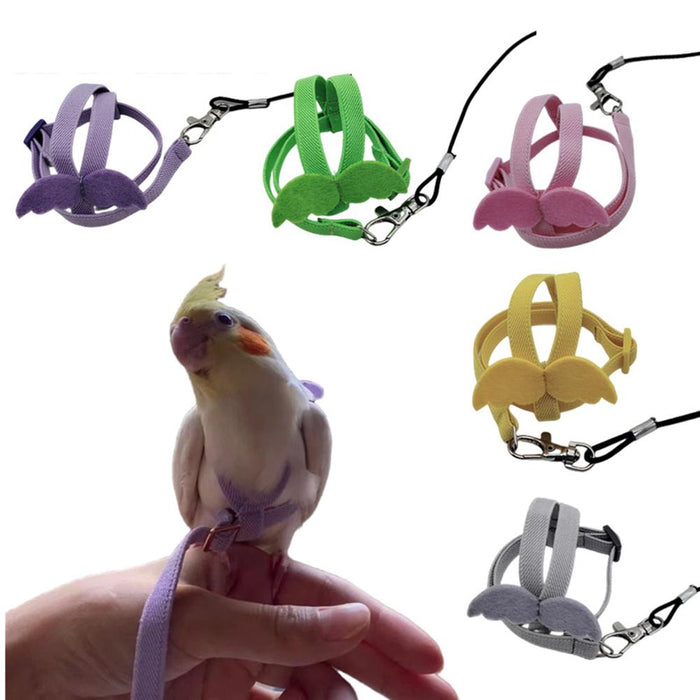 Bird Harness & Flying Leash