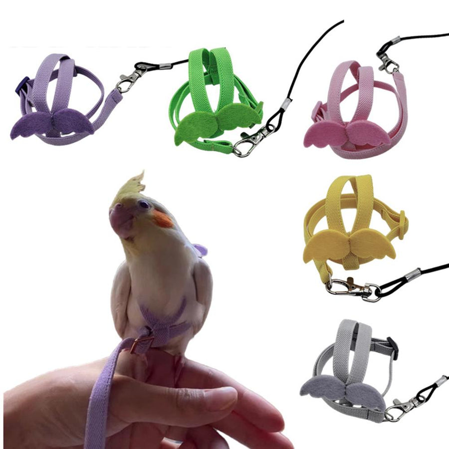 Bird Harness & Flying Leash