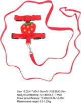 Small Pet Harness & Leash Set