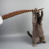 Feather Teaser Wand for Cats