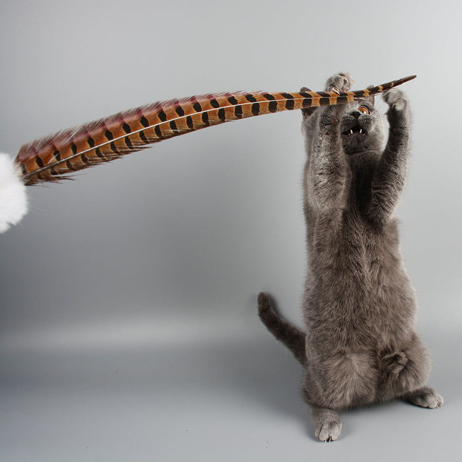 Feather Teaser Wand for Cats